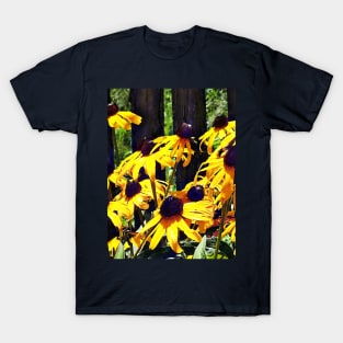 Black Eyed Susans by Fence T-Shirt